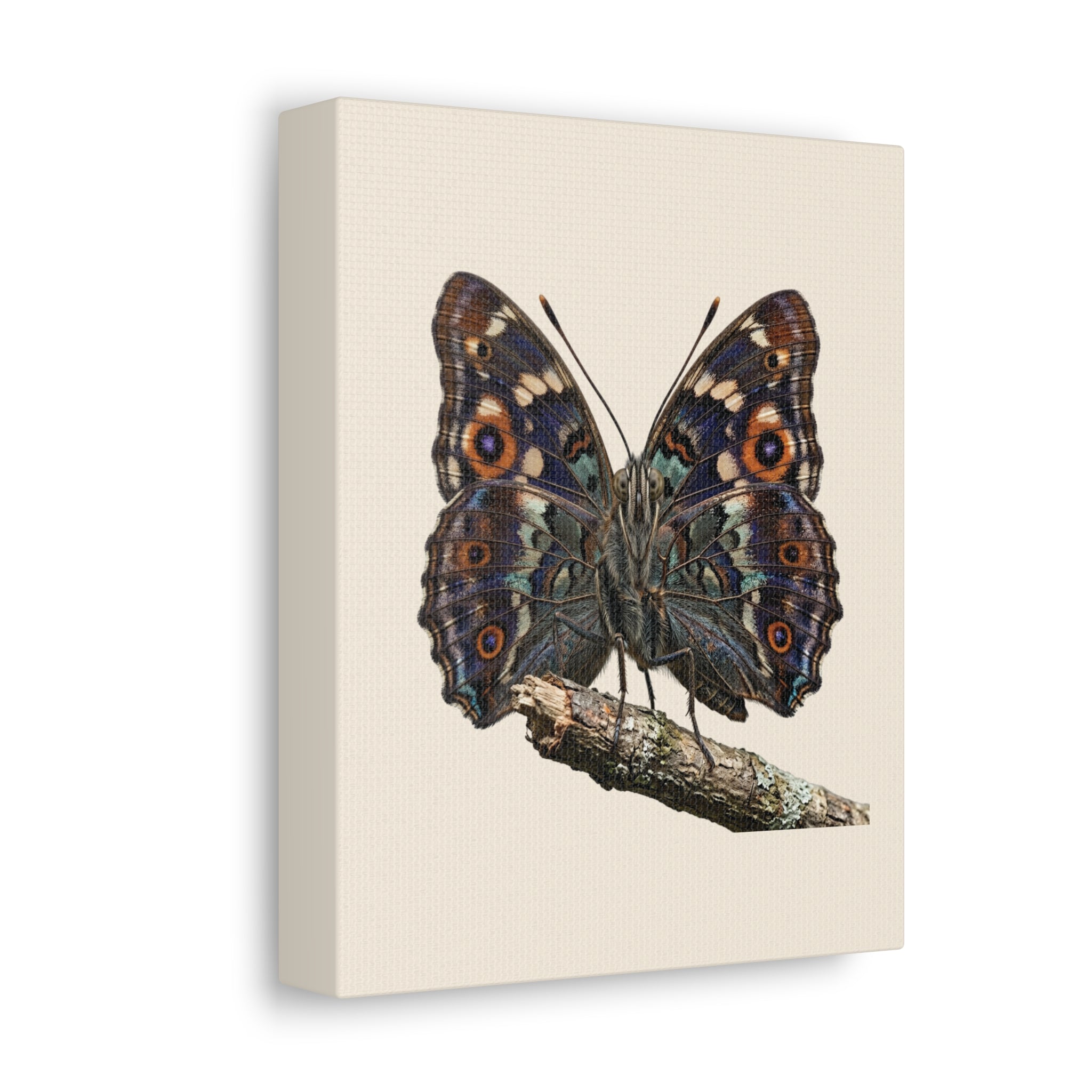 Toile Canvas Étirée Premium — Qualité Galerie & Décoration Murale