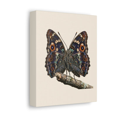 Toile Canvas Étirée Premium — Qualité Galerie & Décoration Murale