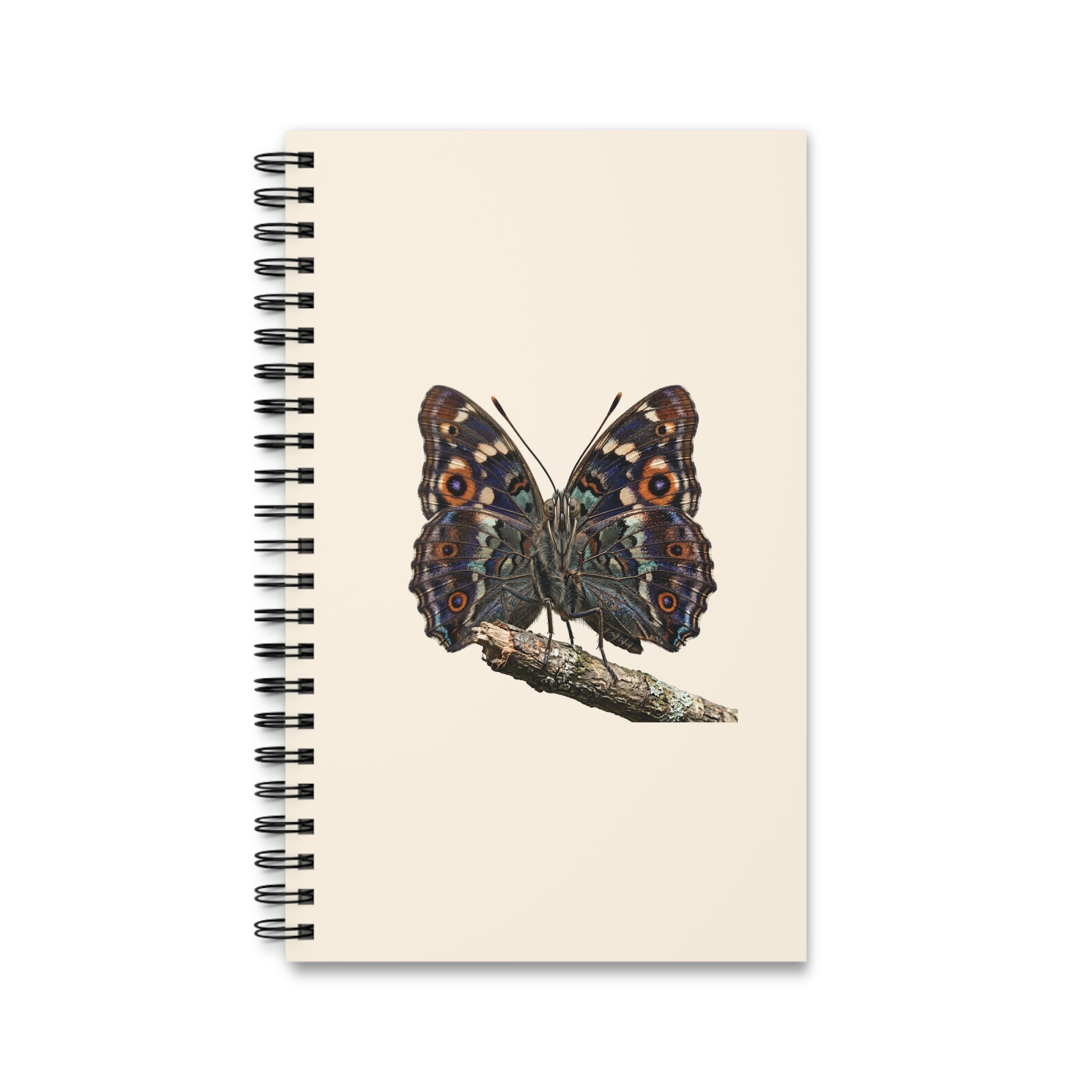 Journal Spirale — Créativité & Expression Personnelle